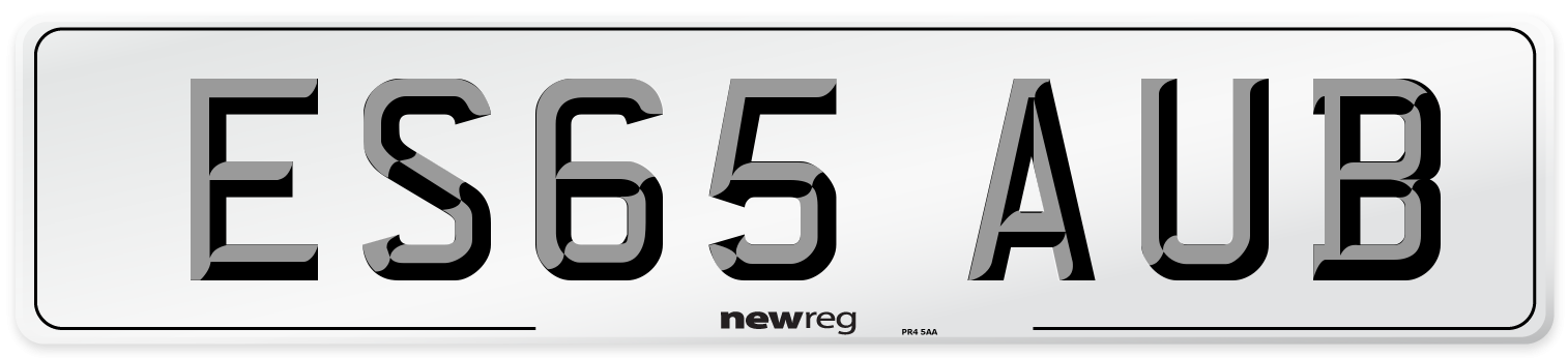 ES65 AUB Number Plate from New Reg